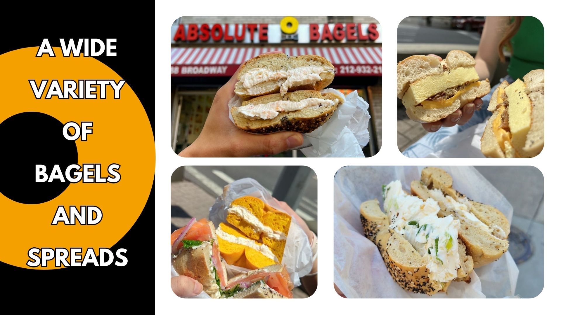 A Wide Variety of Bagels and Spreads at Absolute Bagels